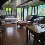 Estudio Piedras * San Roque (Gran Canaria)
