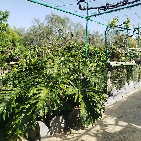 Estudio Piedras San Roque (Gran Canaria)